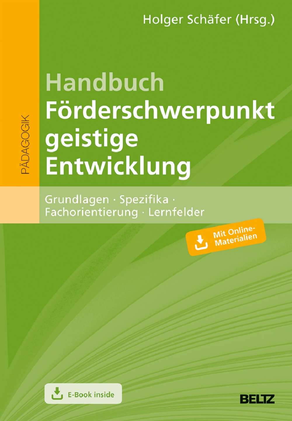 Handbuch Forderschwerpunkt Geistige Entwicklung Grundlagen Spezifika Fachorientierung Lernfelder Mit E Book Inside Holger Schafer Beltz