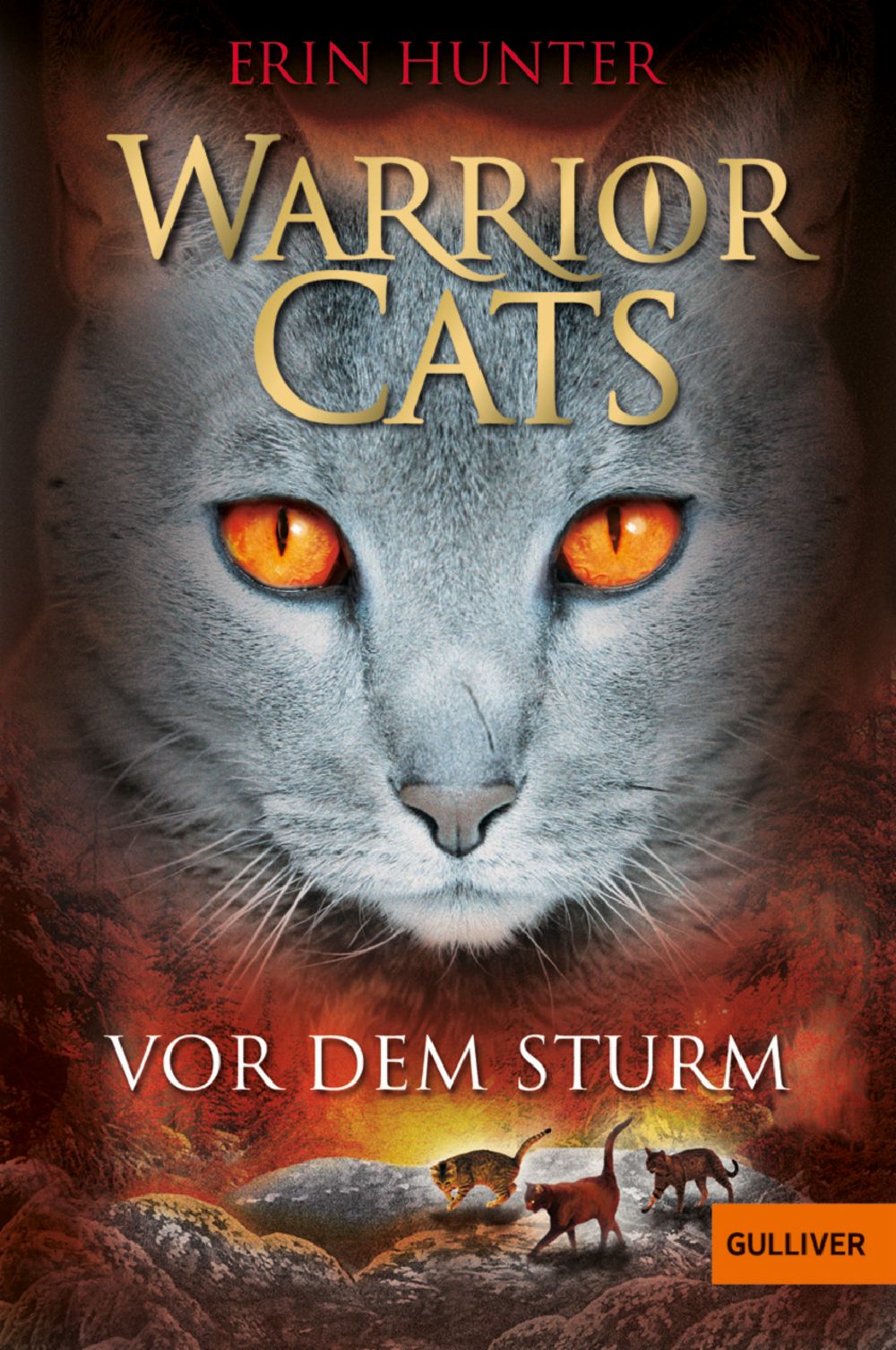 Warrior Cats Vor Dem Sturm I Band 4 Erin Hunter Beltz